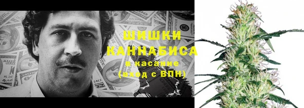 ПСИЛОЦИБИНОВЫЕ ГРИБЫ Балабаново
