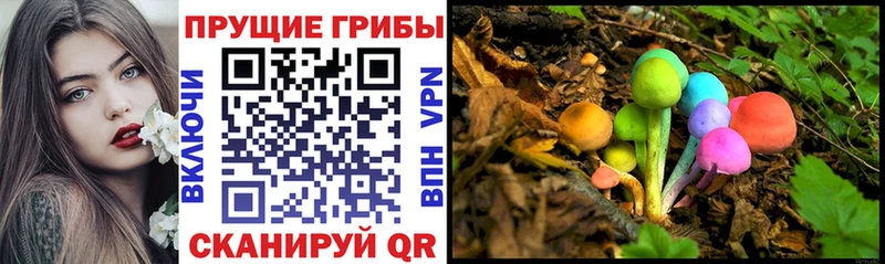 Купить где  Старая Купавна  Псилоцибиновые грибы Cubensis 